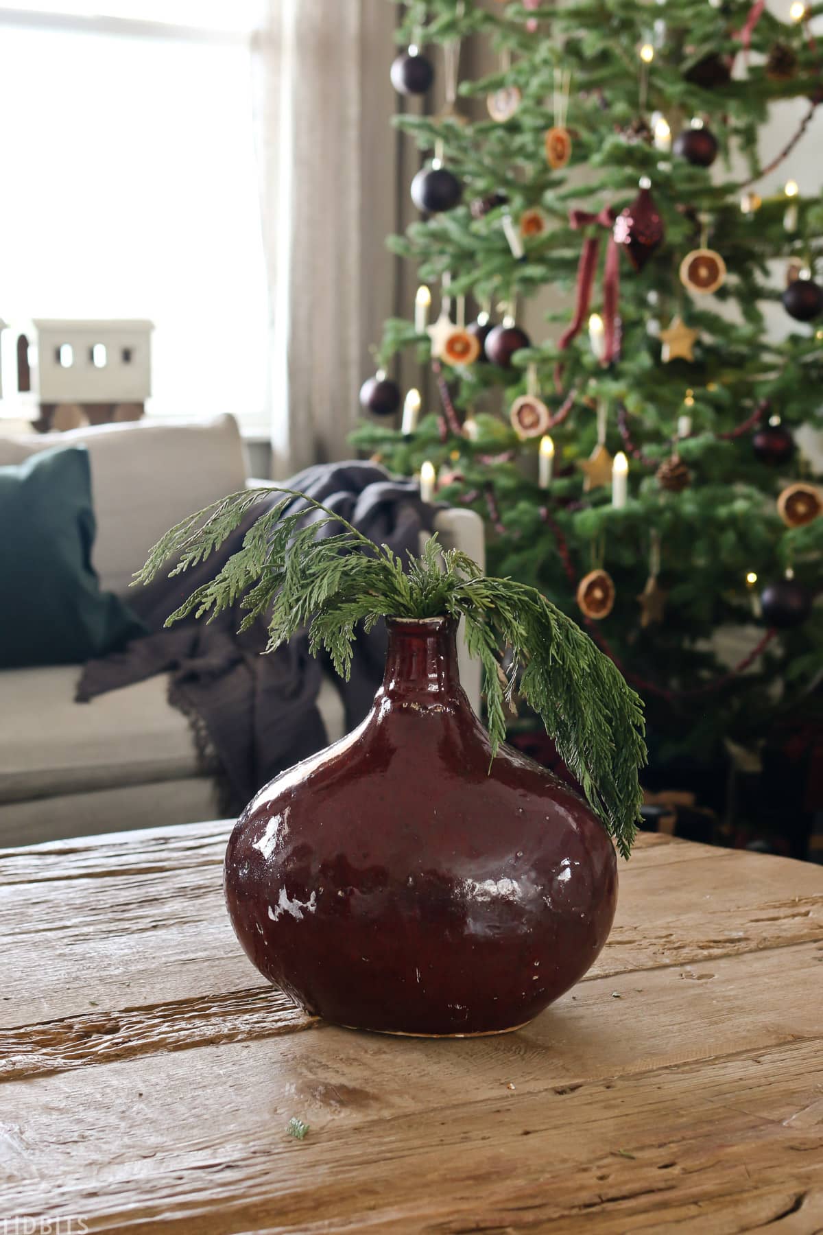 maroon-colored vase placed on coffee table with Christmas tree branches inside of it