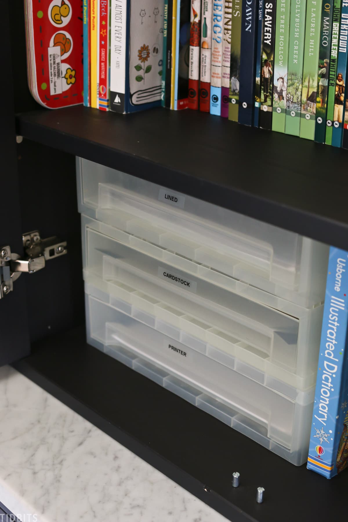 lower storage cabinet shows organizers for cardstocks and printed papers