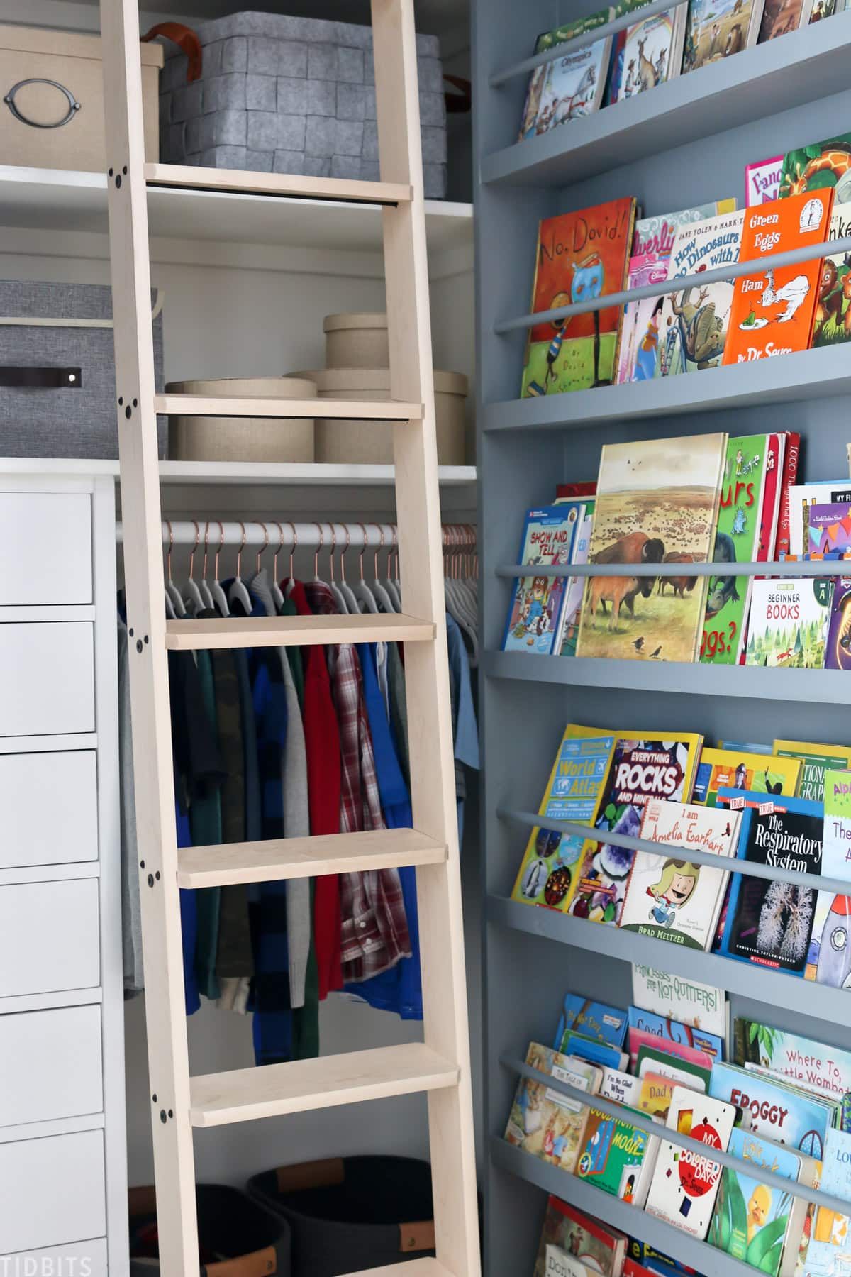 rolling library ladder placed inside of kids closet with a shelf full of books