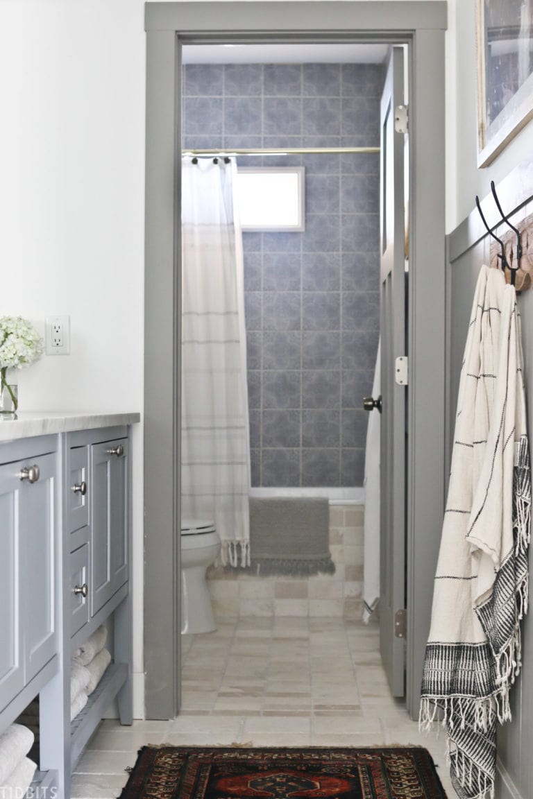 Split Bathroom Design Ideas and Room Reveal