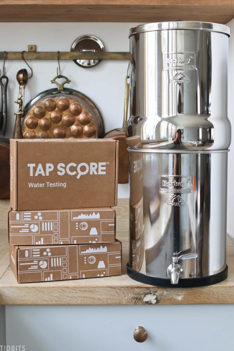 Is the Berkey Water Filter Worth It? (Independent Test Results!)