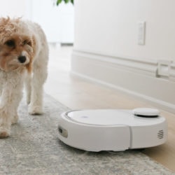 My Narwal Review: Is this Vacuum/Mop Robot Worth it?