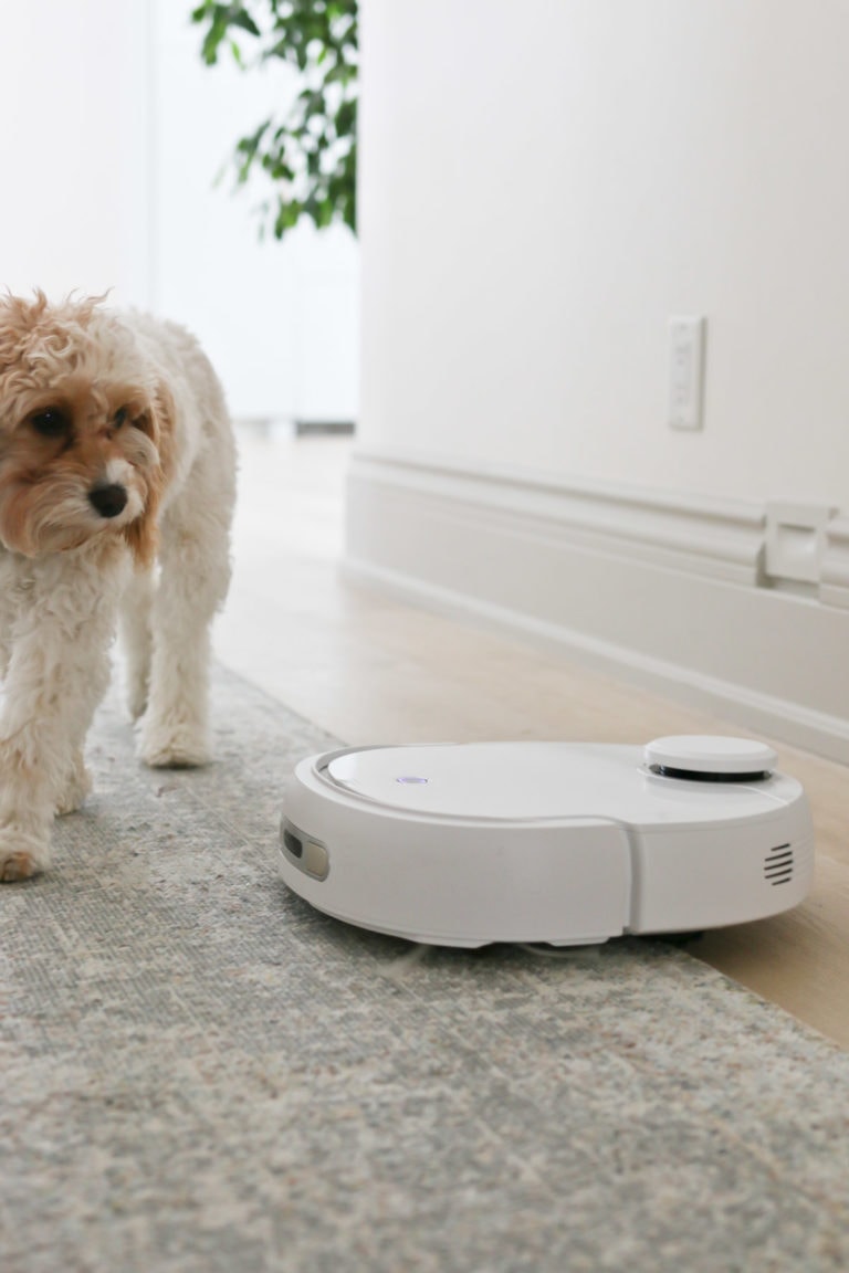 My Narwal Review: Is this Vacuum/Mop Robot Worth it?