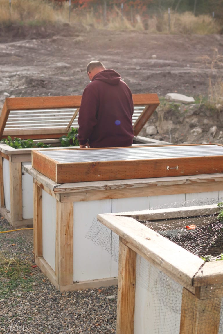 How to Build a Cold Frame to Grow Vegetables in the Winter