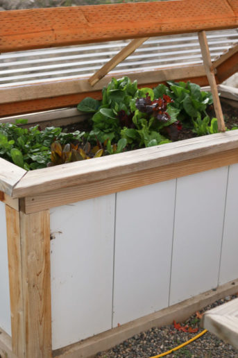 how to build a cold frame for winter gardening