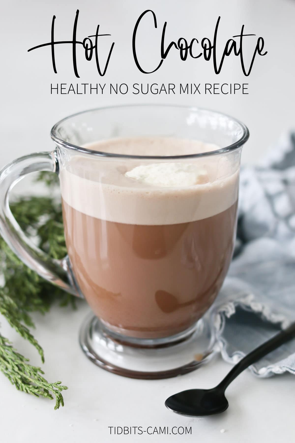 Yummy Healthy Hot Chocolate Mix Recipe NO ADDED SUGAR! Tidbits
