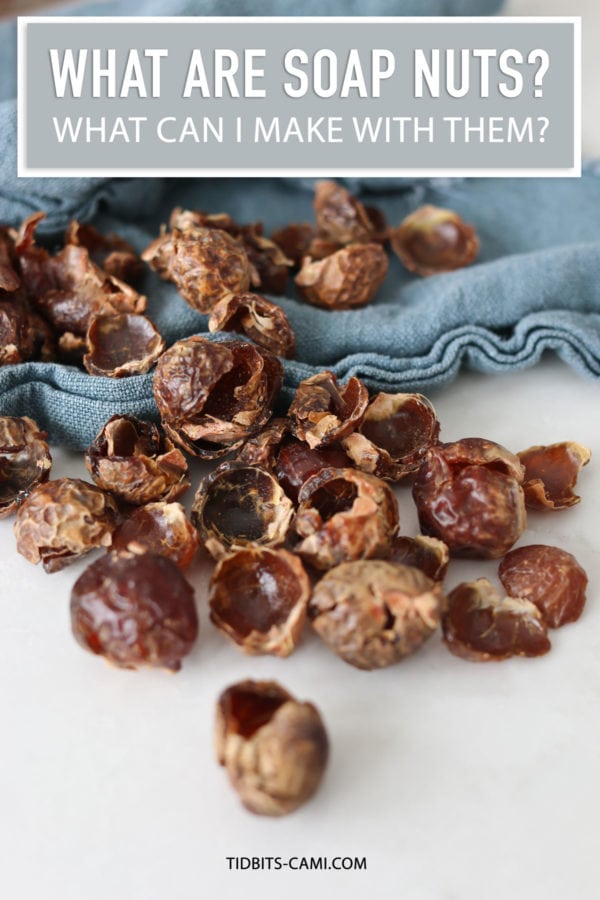 what are soap nuts and what can I make with them?