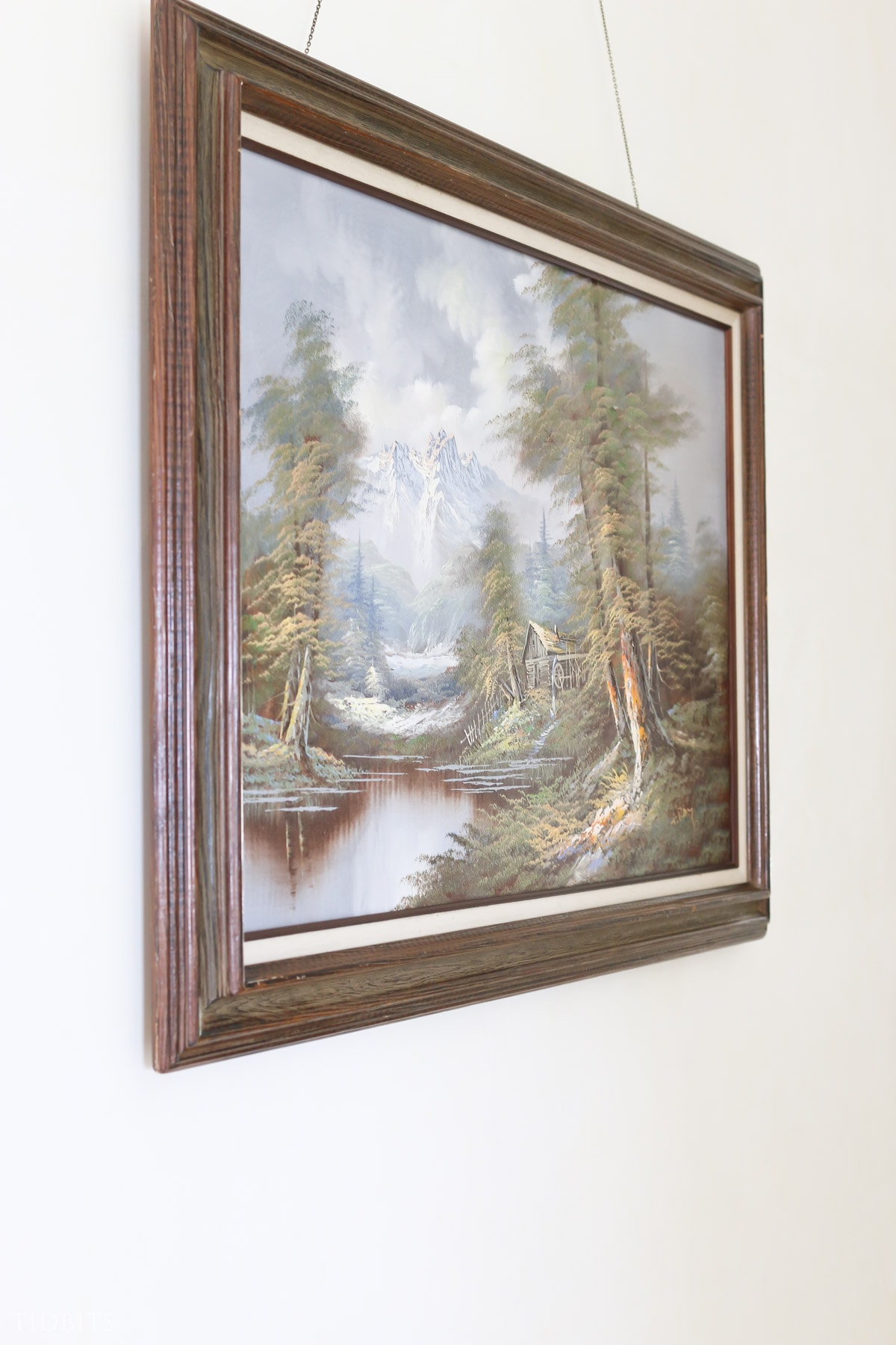 Painting of nature scene hanging in hallway