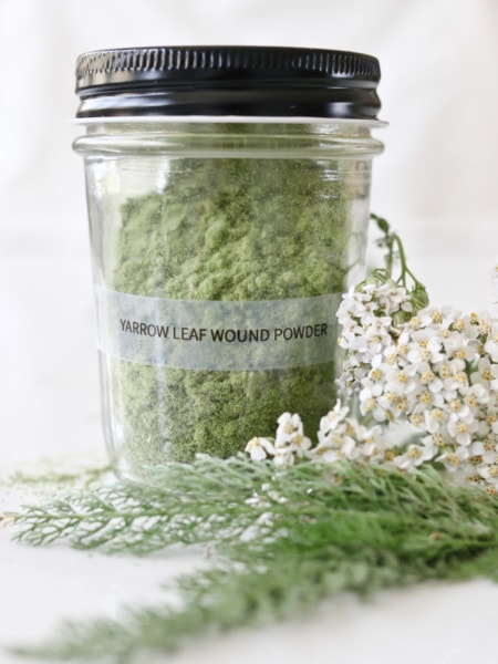Yarrow wound powder for stopping bleeding and healing wounds