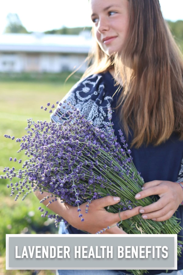 A girl holds a bundle of lavender with the words "lavender health benefits" across the top