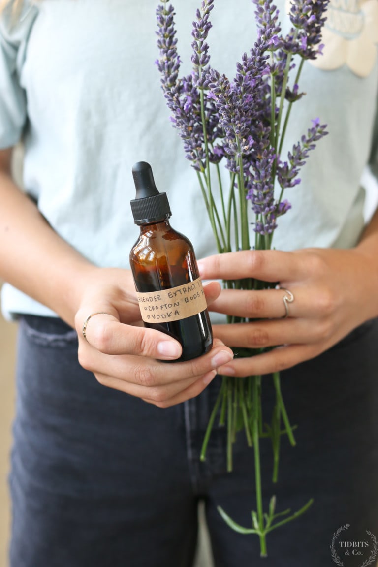 How to Make Lavender Extract and Tinctures
