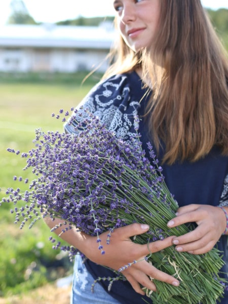 A girl carries lavender in her arms