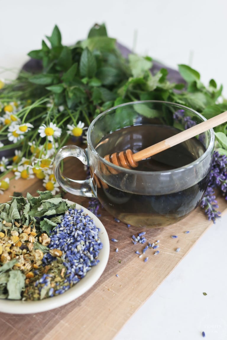 How to Brew Lavender Tea and 6 Recipes to Try