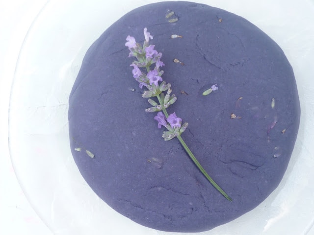A blue circle of homemade lavender play dough with lavender flower buds