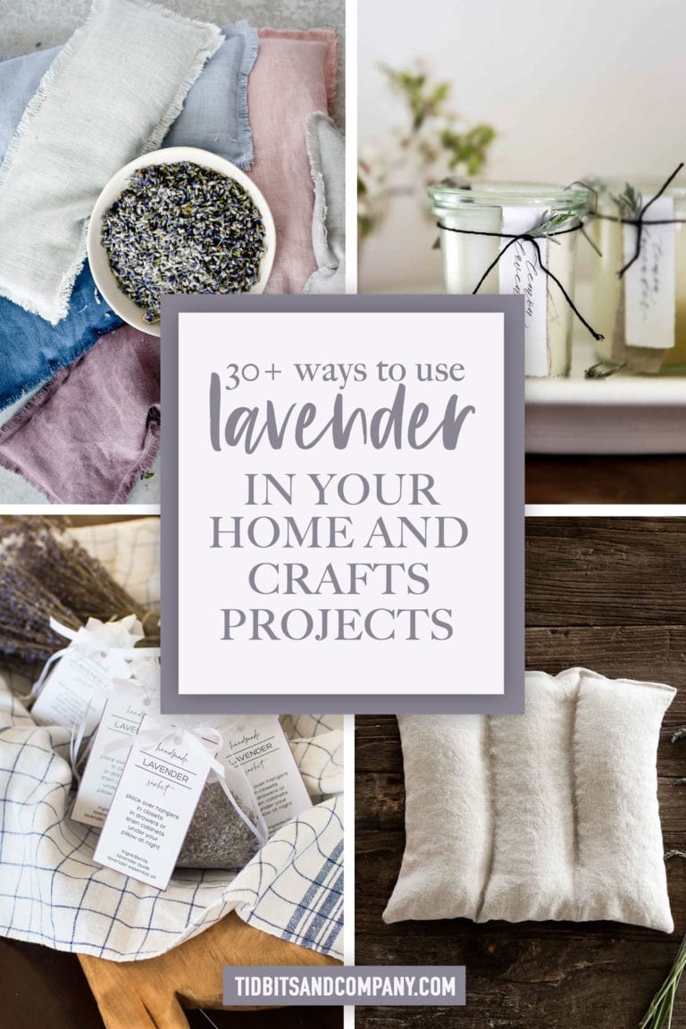 30+ Creative Ideas for Using Lavender in Your Home and Craft Projects