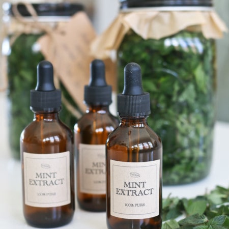 Three amber bottles of mint extract sit in front of jars filled with mint during the distracting process