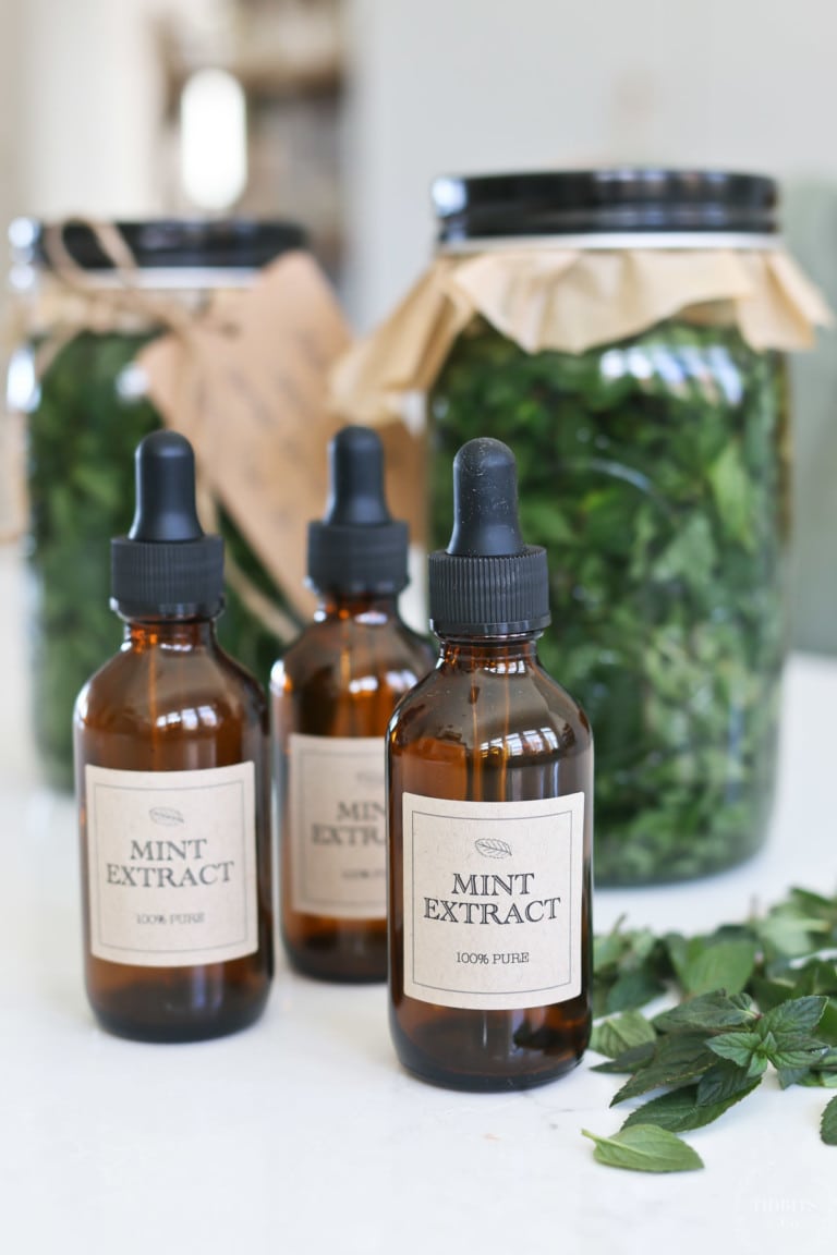 How to Make Mint Extract + Free Printable Labels