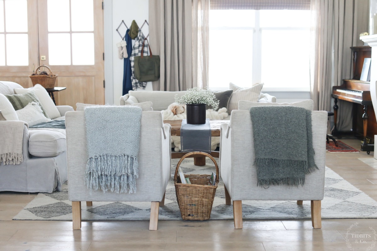 Non Christmas Winter Decor Ideas - Tidbits