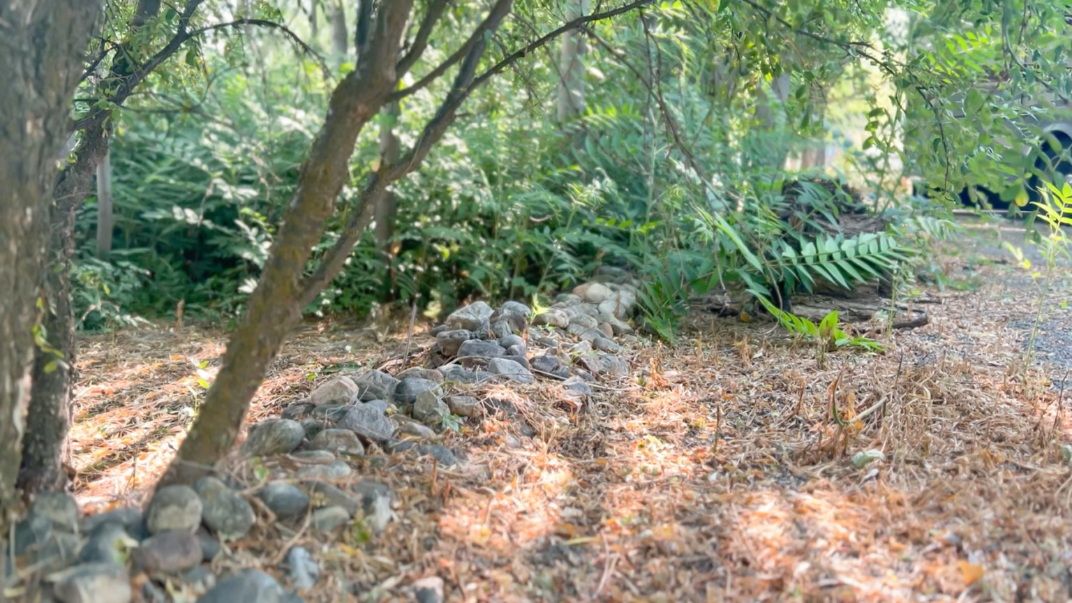 Charming Cottage Landscaping Ideas - Tidbits